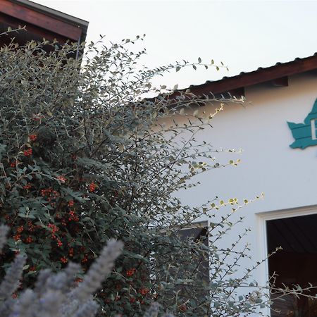 Edenia Punta Soberana Hotel El Calafate Bagian luar foto